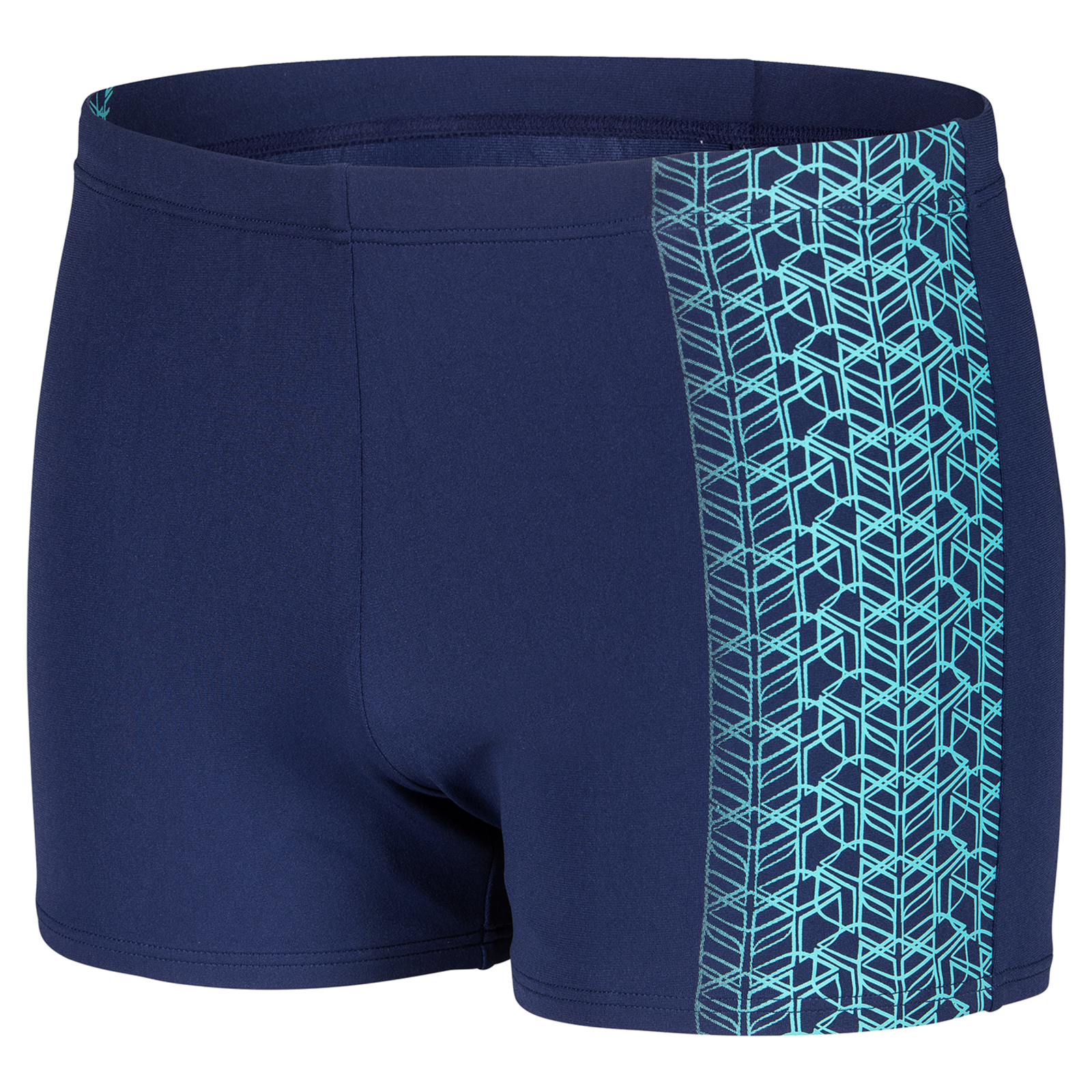Image of Arena M Arena Logo Swim Short Swim Short Herren, blau, Grösse: D 4